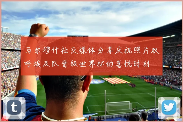 马尔穆什社交媒体分享庆祝照片欢呼埃及队晋级世界杯的喜悦时刻