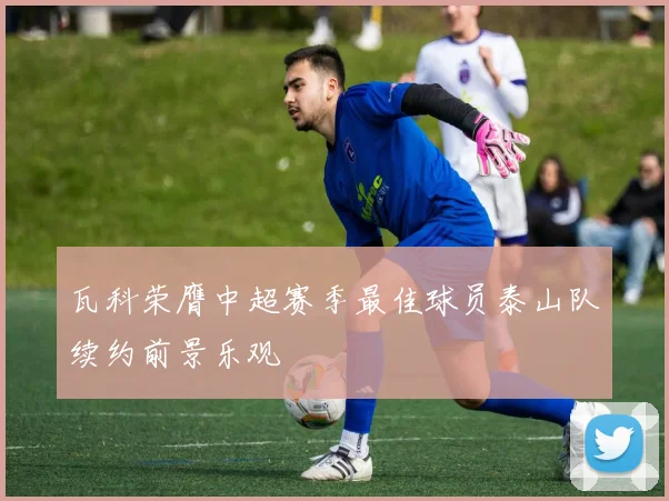 瓦科荣膺中超赛季最佳球员泰山队续约前景乐观