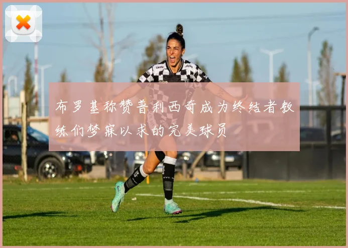 布罗基称赞普利西奇成为终结者教练们梦寐以求的完美球员