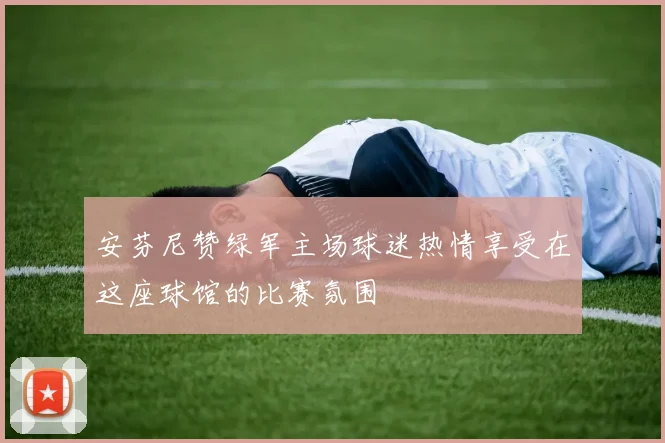 安芬尼赞绿军主场球迷热情享受在这座球馆的比赛氛围